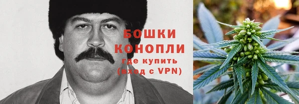 apvp Богородицк
