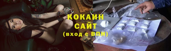 spice Богданович