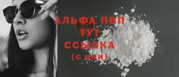 spice Богданович