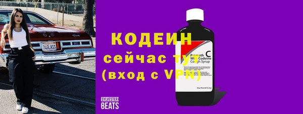 spice Богданович