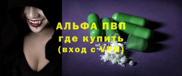 spice Богданович