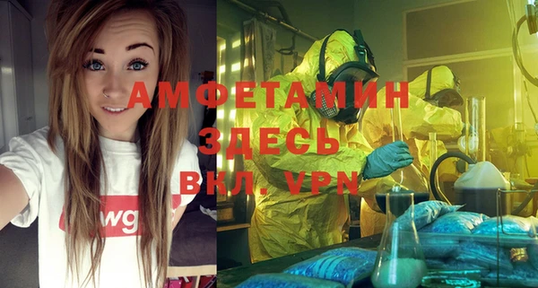 spice Богданович