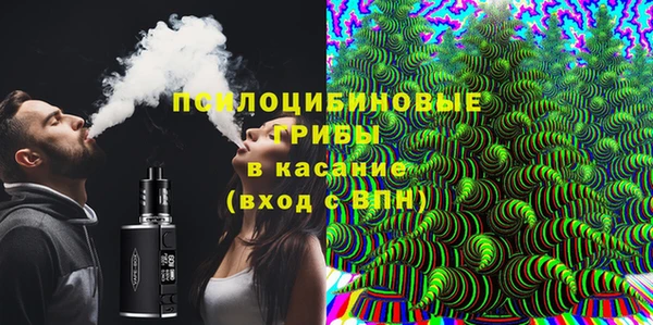 хмурый Богородск