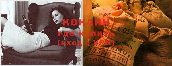 spice Богданович