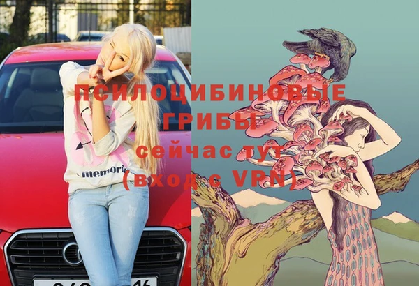 хмурый Богородск