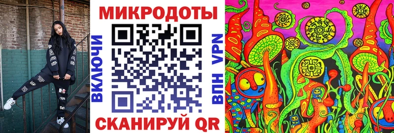 Псилоцибиновые грибы Psilocybine cubensis  Киров 